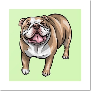 English Bulldog | Cute Dog Posters and Art